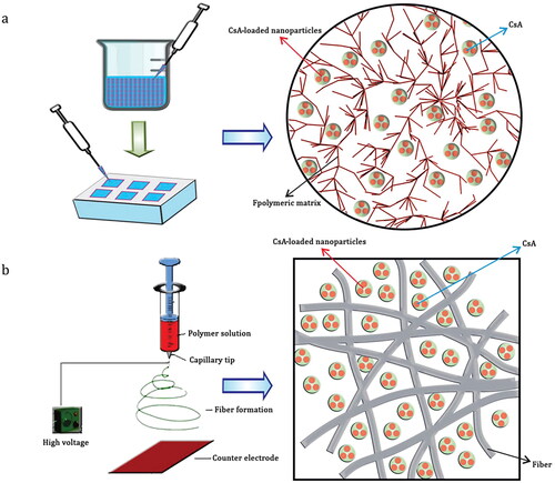 Figure 4. Schematic diagram of implant preparation: (a) molding method and (b) electrospinning method (Yavuz et al., Citation2016).Copyright 2016, Drug Delivery.