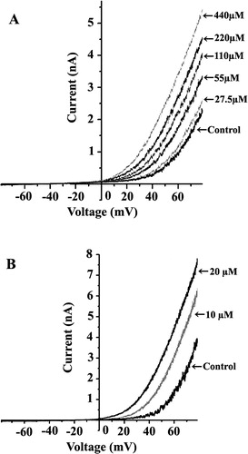 Figure 2.  Dose-dependent activation of the SAKCa channel by TNP and CPZ. Representative whole-cell current traces from the same cell corresponding to the addition of TNP from 27 µM to 440 µM (A) or CPZ from 10 µM to 20 µM (B). The I-V curves before and after addition of TNP and CPZ were obtained with a voltage ramp of 1 s in duration starting from −80 to +80 mV.