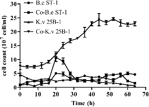 Figure 1. Cell growth of B. endophyticus ST-1 and K. vulgare 25B-1 in mono- and co-cultures fermentation systems.