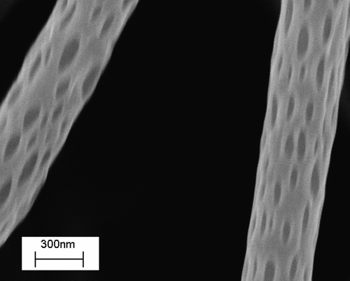 Figure 4. SEM image of PLA electrospun nanofibers with nanopores.