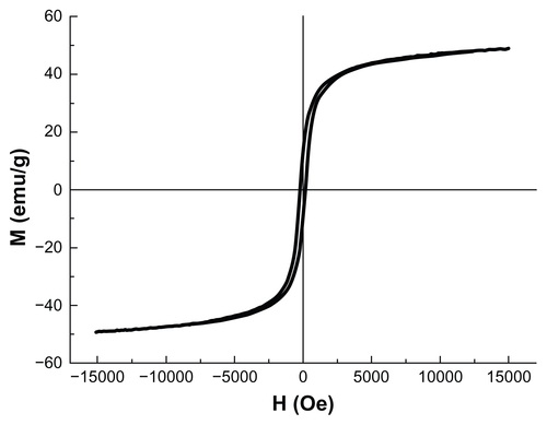 Figure S4 Magnetization curves of MNPs.Abbreviation: MNPs, magnetic nanoparticles.