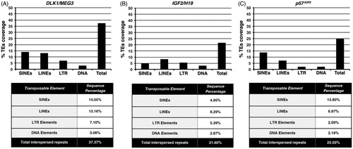Figure 2. Abundance in transposable element sequences within DLK1/MEG3. IGF2/H19 and p57KIP2 imprinted loci. Histograms indicate the percentage coverage in SINE, LINE, LTR retrotransposon, DNA transposon as well as the total one in transposable element sequences within (A) DLK1/MEG3, (B) IGF2/H19 and (C) p57KIP2 imprinted loci. The tables, below each histogram, show the percentage values of the coverage of SINE, LINE, LTR retrotransposon, DNA transposon and total transposable element sequences within the aforementioned regions.