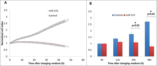 Figure 2. (A) Real-time cell impedance index measured using the xCELLigence cell impedance system. Cells are transfected with 100 nM miR-215 mimic (red) or non-specific oligonucleotide control (blue) and medium changed at 6 h. Error bars show standard deviation across 3 biological samples in 3 separate experimental replicates. (B) Bar chart representing cell indices of miR-215 or control-transfected cells as described above at various time points after changing medium. Error bars show standard deviation across 3 biological samples in 3 separate experimental replicates.