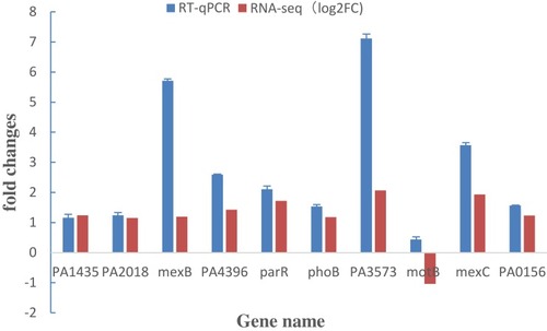 Figure 3 Illustrating the RT-qPCR conformation results for the 10 selected DEGs. The X-axis represents the selected 10 genes and the Y-axis represents the fold change values derived from RNA-seq and RT-qPCR.