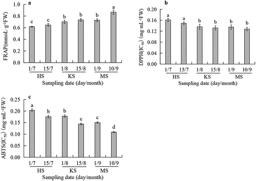 Figure 2. Changes of FRAP (A), DPPH (B), and ABTS (C) in pellicles during fruit development. HS means hard-core stage. KS means kernel-filling stage. MS means mature stage. Different letters on top of error bars represent significant differences in antioxidant activity during development according to Duncan’s multiple range tests at p < .05 (n = 3).