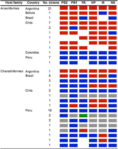 Fig. 5 Genomic constellations of avian-origin IAVs from South America.IAVs by host-order and country color-coded as South American lineage (red), North America lineage (blue), Eurasian lineage (green), other global avian lineages (gray), and no sequence data available (white)