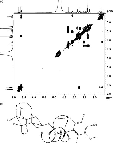 Figure 7. (a) ROESY spectrum and (b). ROESY correlation of the isolated compound.