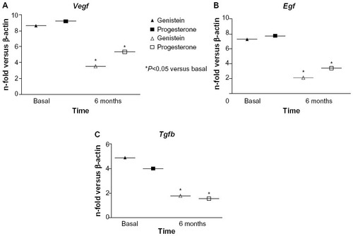 Figure 2 Gene expression of (A) Vegf, (B) Egf, and (C) Tgfb at baseline and after 6 months, expressed as n-fold of β-actin. Data are expressed as median values.