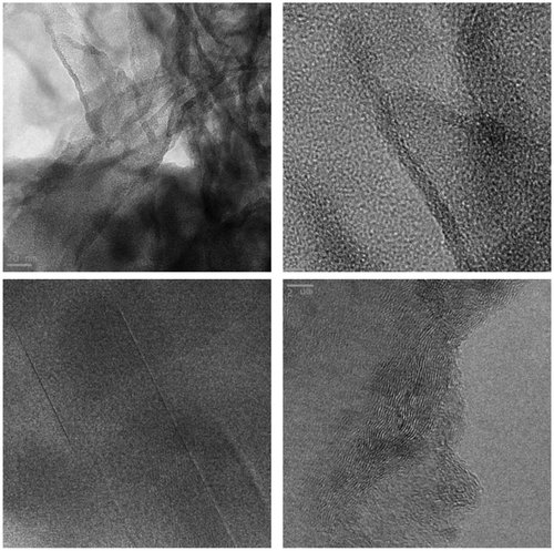 Figure 2. TEM micrographs of S2 (Ccoke/g-C3N4) composite.