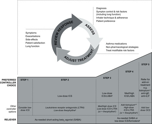 Figure 1. The GINA stepwise approach to disease management (Citation18) used for cohort allocation in this study. ICS, inhaled corticosteroids; GINA, Global Initiative for Asthma; LABA, long-acting beta2-agonist; med, medium (dose); OCS, oral corticosteroids; anti-IgE, anti-immunoglobulin E therapy; anti-IL5, anti-interleukin 5.aNot for children <12 years.bFor children 6–11 years old, the preferred Step 3 treatment is medium-dose ICS.cLow-dose ICS/formoterol is the reliever medication for patients prescribed low-dose budesonide/formoterol or low-dose beclometasone/formoterol maintenance and reliever therapy.dTiotropium by mist inhaler is an add-on treatment for patients with a history of exacerbations; it is not indicated in children <12 years.Reproduced from: Global Initiative for Asthma (GINA), Global Strategy for Asthma Management and Prevention, 2017 (Citation18). More recent GINA guidelines are available; figure provided here reflects that used at time of study.