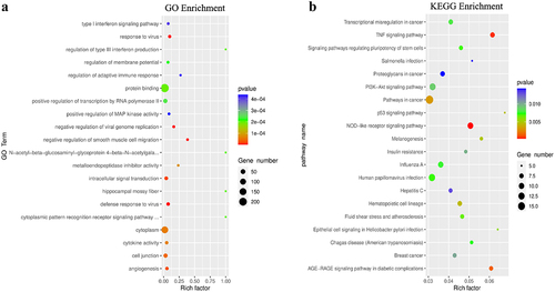 Figure 6. GO function and KEGG pathway enrichment of differentially expressed genes with differential m6A peaks. (A) Top 20 significantly enriched GO terms. (B) Top 20 significantly enriched KEGG pathways.