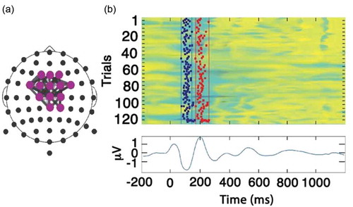 Figure 1. (a) The Reference Brain Network Model (RBNM) is displayed in a time-collapsed figure. A coloured circle at a specific electrode denotes activity recorded from a specific recording channel. Grey-shaded lines connect a pair of events/electrodes. (b) Reference group average ERP (N100 and P200). The coloured panel has 120 rows, one for each subject. In each row, the average activity of each subject is presented for the duration of the recorded epoch. Cool and warm colours represent negative and positive values, respectively. Vertical lines in the top panel represent the minimal (left) and maximal (right) permitted latency limits of the electrode activity within the pattern.