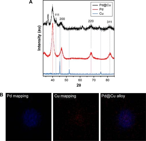 Figure 2 (A) X-ray diffraction pattern of palladium@copper bimetallic nanoparticles. (B) Energy-dispersive X-ray elemental mapping images of Pd, Cu, and Pd@Cu bimetallic nanoparticles, respectively.