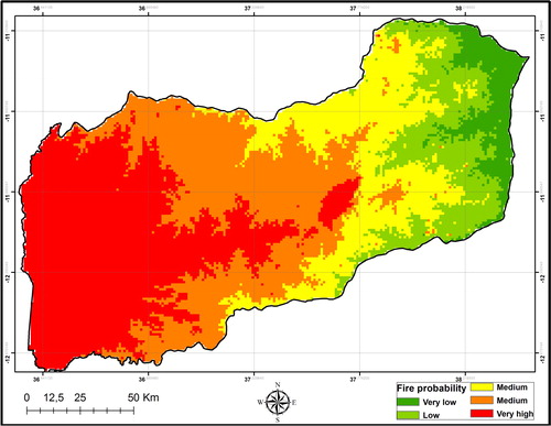 Figure 4. Probability of risk of wildfire, Niassa Reserve.