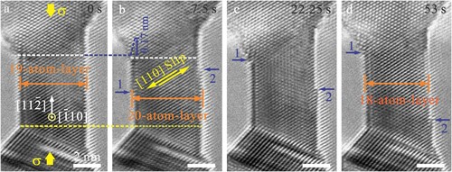 Figure 3. In situ TEM images showing full-dislocation-slip-induced surface atom diffusion. (a) A 5.0-nm-diameter Ag nanocrystal under [112¯] compression at a strain rate of 10−3 s−1. (b) Formation of two surface steps (steps 1 and 2) formed by a full dislocation slip. (c–d) Surface-diffusion-assisted migration of atomic steps resulting in the reduction of the nanocrystal width. All scale bars are 2 nm.