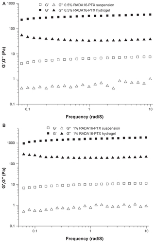 Figure 6 Frequency sweep of RADA16-PTX hydrogel in rheological analysis. (A) 0.5% RADA16-PTX and (B) 1% RADA16-PTX. The results showed that the storage modulus of 0.5% RADA16-PTX hydrogel was much lower than that of 1% RADA16-PTX hydrogel.Abbreviation: PTX, paclitaxel.