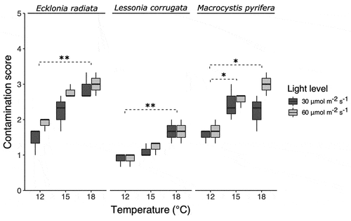 Figure 2. Boxplots of contamination score (between 0–5) for three kelp species. One asterisk (*) indicates a p value smaller than 0.05. Two asterisks (**) indicate a p value smaller than 0.01 as per Dunn’s post-hoc test.