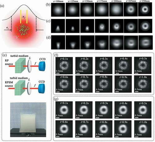 Figure 4. Self-reconstruction and robustness of a partially coherent beam with engineered spatial coherence structure propagation through the complex media. (a) Physical interpretation of the self-reconstruction capacity when the relation σc<σa<σI holds, where σc,σa, and σI are the widths for the spatial coherence, obstacle size, and beam intensity. (b)–(c) Intensity distribution of the specially correlated partially coherent vector beam at several propagation distances (b) without obstructed, (c) and (d) with sector-shaped opaque object of center angle φ=7π/4 and φ=71π/36 placed in the source plane. (e) Experimental setup for analyzing fully coherent radially polarized beam and specially correlated partially coherent vector beam transmission through a turbid medium with random refractive index fluctuations. (f) Experimental intensity profile self-reconstruction of the fully coherent radially polarized beam passing through diluted milk at different instances of time t. (g) Experimental intensity profile for the specially correlated partially coherent vector beam [Citation163]