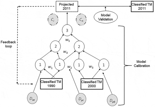 Figure 2. Projected land use data model construction.Note: Dse socioeconomic drivers, Dpr proximity drivers, Dpb probability driver, 1–3 perceptron, w weights, Ci first constraint (e.g. forest), Cn last constraint (e.g. urban growth boundary).