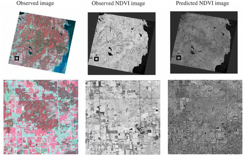 Figure 4. The observed 20100829 NDVI image versus predicted 20100829 NDVI that was generated using predicted TM 20100813 and 20100914.