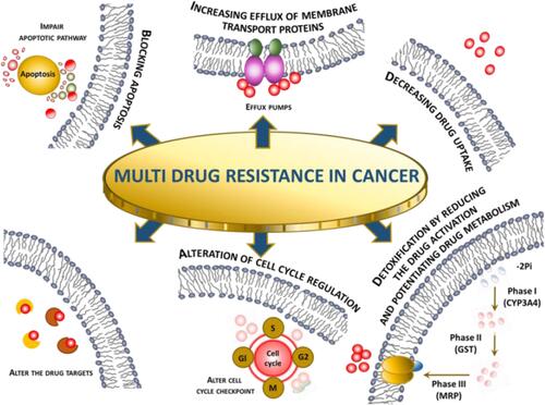 Figure 5 Multidrug resistance in cancer mechanism overview.Citation125