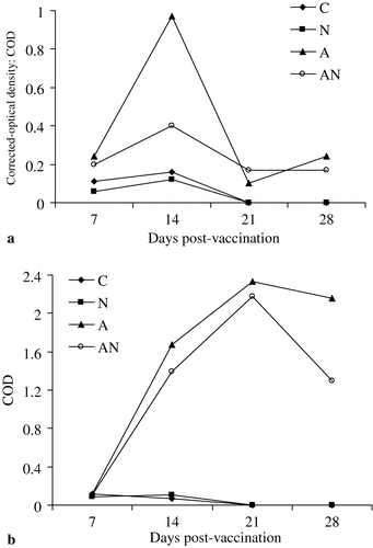 Figure 3. 3a: NDV-specific IgA in lachrymal fluid of unvaccinated (C), APV (N), NDV (A) or dual-vaccinated (AN) chickens. 3b: NDV-specific IgG in lachrymal fluid of unvaccinated (C), APV (N), NDV (A) or dual-vaccinated (AN) chickens.