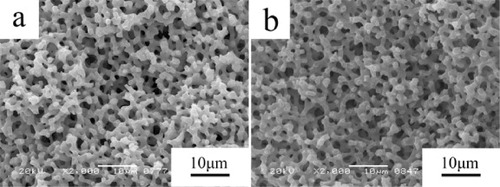 Figure 7. Macroporous structure of the AlPO4 gels without or with hydrothermal treatment. (a) Without hydrothermal; (b) 120 °C,1 mol l−1 NH4OH.