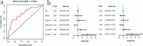 Figure 9. Evaluation of the immune-related gene-based prognostic model. a, ROC analysis to predict sarcoma prognosis according to the risk score value. b, Univariate and multivariate regression analyses are shown from left to right