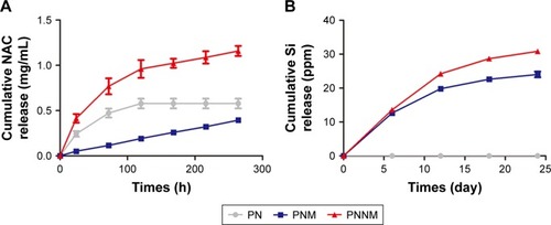Figure 5 Drug-release kinetics of Si and NAC.Notes: NAC release profiles of PN, PNM, and PNNM scaffolds during 0–280 hours in distilled water solution (A). Cumulative Si release profiles of PN, PNM, and PNNM scaffolds after 24 days in distilled water solution (B).Abbreviations: PN, PLGA with free NAC; PNM, PLGA with NAC@MSN; PNNM, PLGA with free NAC and NAC@MSN; NAC, N-acetyl cysteine; NAC@MSN, NAC-loaded MSN.