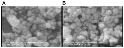 Figure 1 SEM micrographs of GC-loaded (A) Chi nanoparticles (B) Chi–PF nanoparticles.Abbreviations: Chi, chitosan; GC, gemcitabine; PF, Pluronic F®127; SEM, scanning electron microscopy.