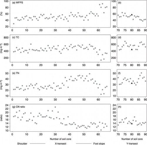 Figure 2  Spatial patterns of the soil properties in the X-transect and the Y-transect. (a) Water-filled pore space (WFPS) in the X-transect, (b) WFPS in the Y-transect, (c) total carbon (TC) in the X-transect, (d) TC in the Y-transect, (e) total nitrogen (TN) in the X-transect, (f) TN in the Y-transect, (g) C:N ratio in the X-transect, (h) C:N ratio in the Y-transect. In (b,d,f,h) the black solid triangles indicate soil core 35 of the X-transect.