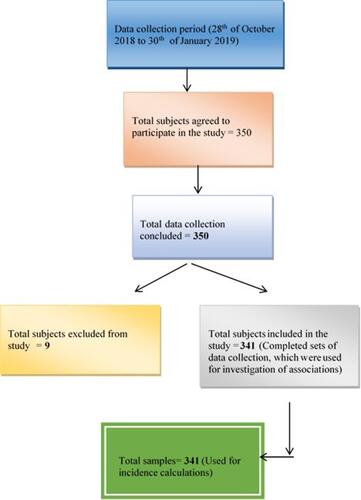 Figure 1 Flow diagram of subject recruitment for the study.