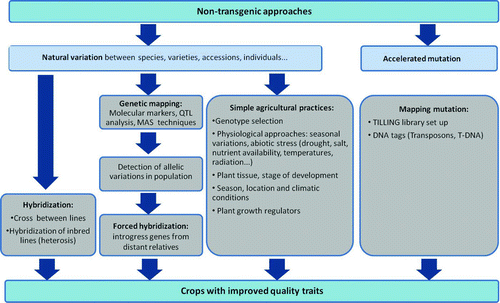 FIG. 2 Outline of the non-transgenic approaches presently available to enhance antioxidant levels in plant extracts (color figure available online).