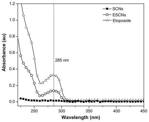 Figure 5 UV-vis spectra for SCNs, free etoposide and ESCNs.Abbreviations: UV-vis, ultraviolet-visible spectroscopy; SCNs, strontium carbonate nanoparticles; ESCNs, etoposide-loaded strontium carbonate nanoparticles.