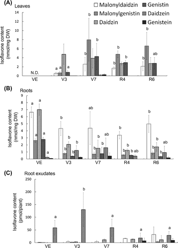 Fig. 1. Contents of isoflavones in soybean tissues and root exudates during growth.Notes: Each bar represents the mean ± SD of five replicates. N.D.; not determined. Different letters indicate significant differences (p < 0.05) by one-way ANOVA with Tukey’s HSD test.