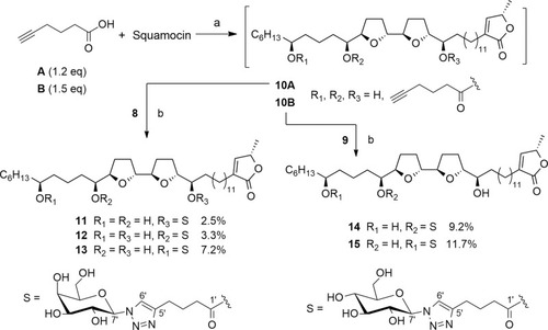 Scheme 3 Synthesis of 11–15 by click chemistry. Reagents and conditions: (a) DCC, DMAP, CH2Cl2, rt, N2, 16 h. (b) CuSO4·5H2O, sodium ascorbate, MeOH/H2O, 50 °C, 16 h.