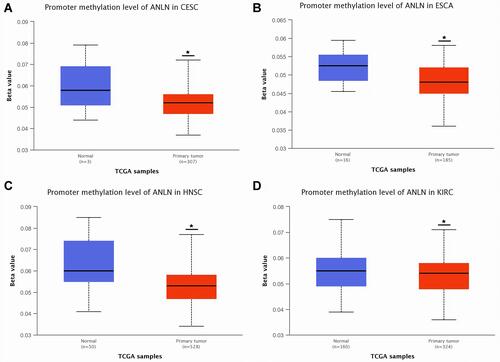 Figure 5 Promoter-methylation analysis of ANLN in CESC, ESCA, HNSC, and KIRC via UALCAN. (A) CESC; (B) ESCA; (C) HNSC; (D) KIRC. *P<0.05.