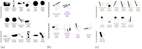 Figure 4. Grasp categories: (a) Power grasps, (b) Intermediate grasps and (c) Precision grasps.