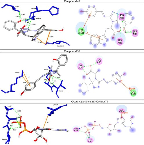 Figure 3. Molecular docking of best compounds 4d and 3d and Guanosine-5'-diphosphate with Rab25. (Left side): 3D representations; the docked compounds are shown in grey stick model, while the docked residues are represented in blue stick model. (Right side): 2D representations; the docked compounds are shown in grey stick model, while the docked residues are represented in ball model. H-bonds are shown in green dotted lines, while π-stacking interactions are given in orange line.