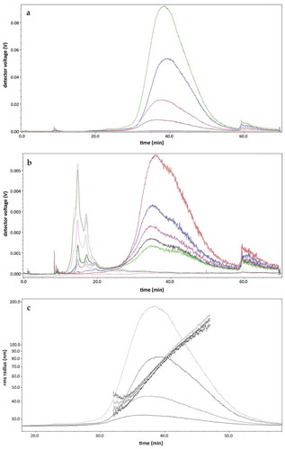 Figure 8. AF4/UV-MALS fractograms of fractions after UF-SEC. (a) The LS (full line) and UV (dotted line) signal of fractions 8 (blue), 9 (green), 10 (pink) and 11 (brown) are shown. Particles elute from 30 to 55 min. There is no UV signal detected; (b) This graph showed a AF4/UV-MALS fractogram of the fractions 12 (red), 14 (blue), 16 (pink), 18 (black) and 20 (green). The particles giving an UV signal elute from minute 12 until 25; (c) The LS (full line) signal of fractions 8 (blue), 9 (green), 10 (pink) and 11 (brown) are shown. The rms radius (dotted line) is shown on a logarithmic scale per 10 nm.