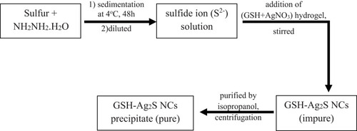Figure 4 Flowchart for stepwise synthesis of GSH-Ag2S NCs.