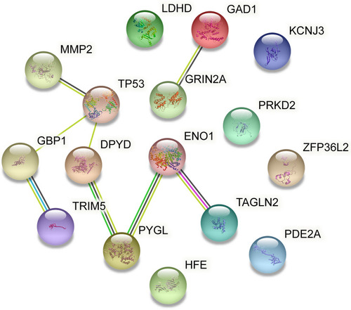 Figure 4 PPI network constructed by the STRING database.