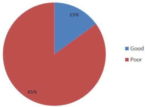 Figure 2 Knowledge of respondents on stroke warning signs at South Gondar Zone Comprehensive Specialized Hospital, Northwest Ethiopia, from June 1–30, 2020 (n = 253).