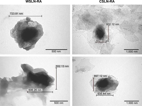 Figure 1 TEM images of WSLN and CSLN loaded with RA in suspension (WSLN-RA and CSLN-RA, respectively). A scale illustrating the size is presented.Abbreviations: TEM, transmission electron microscopy; CSLN, Carnauba solid lipid nanoparticles; WSLN, Witepsol solid lipid nanoparticles.