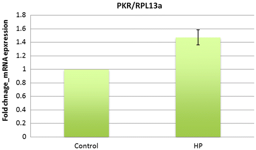 Fig. 3. mRNA expression of PKR in ATDC5 cells under hydrostatic pressure measured by real-time PCR.Graphs show the fold change of PKR-mRNA expression relative to RPL13a mRNA normalized to the control mean. The bars represent the mean ± standard error. mRNA expression of PKR increased compared to control (n = 5) (p-value was obtained student’s t-test).