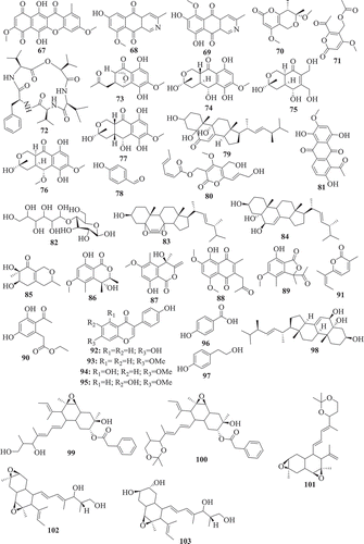 Figure 4. Anticancer compounds isolated from Fusarium species.
