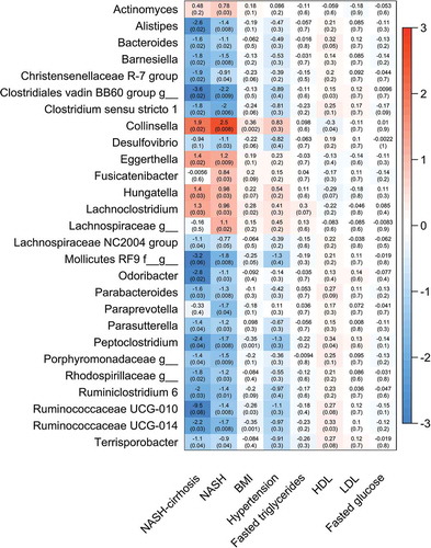 Figure 2. Heat map showing all OTUs (clustered at genus level) significantly associated with NASH or the control group and association with presence of NASH, NASH-cirrhosis, BMI, hypertension, total fasted triglycerides (TG), high-density lipoprotein (HDL), low-density lipoprotein (LDL) and fasted glucose. Values are beta coefficients from linear models adjusted for BMI, age and gender (associations between genera and BMI are adjusted for age and gender only). P values shown in parentheses are adjusted for FDR
