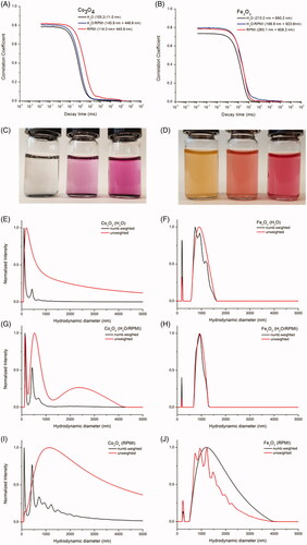 Figure 3. Correlation functions of (a) Co3O4 and (b) Fe2O3 in H2O, H2O/RPMI and RPMI. Hydrrodynamic diameters from the intensity weighted distributions are given in brackets. (c) Co3O4 and (d) Fe2O3 in (from left to right) H2O, H2O/RPMI and RPMI. Number weighted and unweighted intensity size distribution of Co3O4 and Fe2O3 in (e–f) H2O, (g–h) H2O/RPMI and (i–j) RPMI.