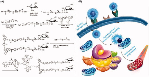 Figure 1. (a) The synthetic process of Glu-PEG-Azo-IR808-S-S-PTX conjugate; (b) its action mechanism after self-assembled into micelle.