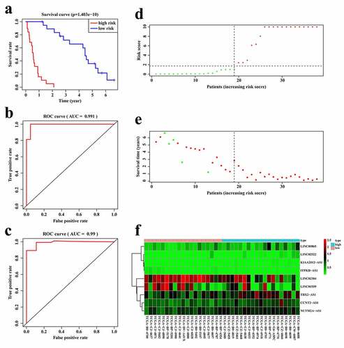 Figure 3. Establishment of the 9-lncRNA prognostic signature based on the TCGA cohort. (a) Kaplan-Meier analysis for patients in high and low risk score groups. (b) ROC curve for 1 year overall survival prediction of the 9-lncRNA signature. (c) ROC curve for 2 year overall survival prediction of the 9-lncRNA signature. (d) Distribution of risk score. (e) Distribution of survival time. (f) Heat map of the 9 lncRNAs expression